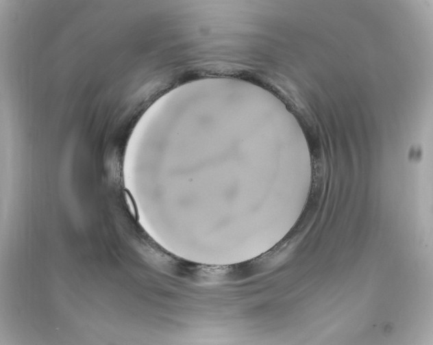 X0000090410143200708101928