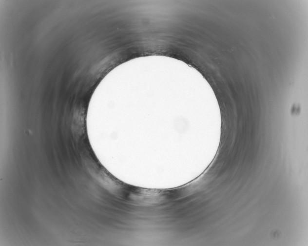 X0000090410144200708101928