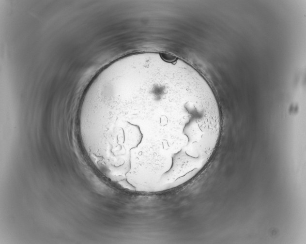 X0000090410145200708101927