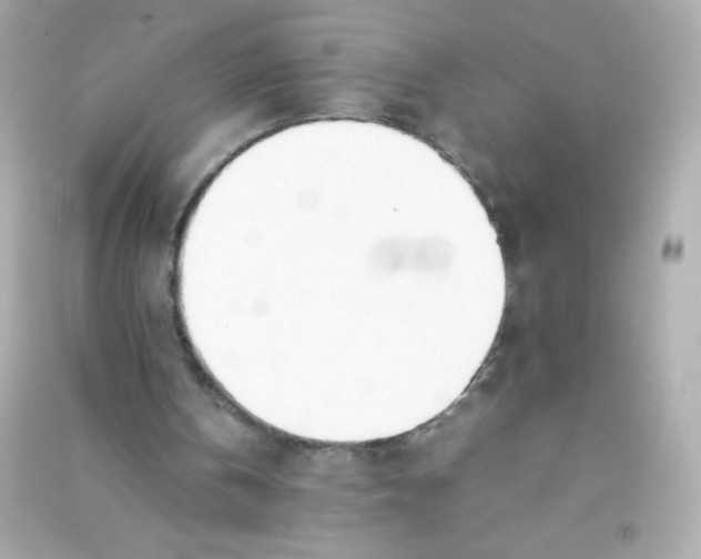 X0000090410146200708101927