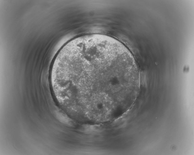 X0000090410147200708101927