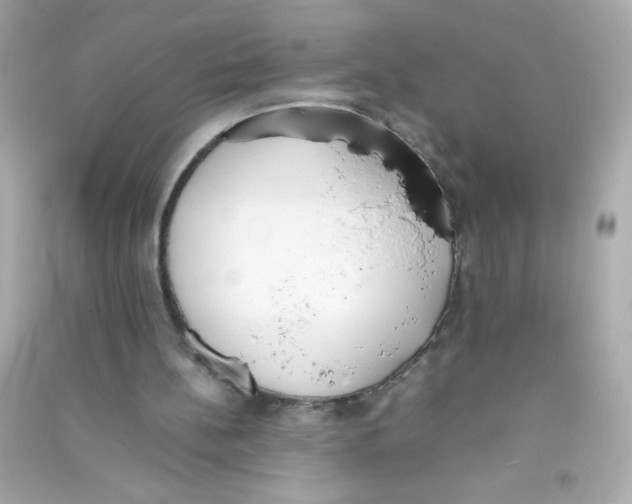 X0000090410148200708101927