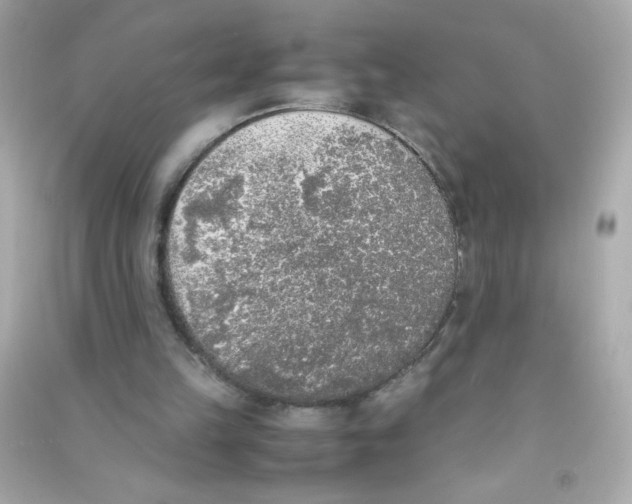 X0000090410149200708101927