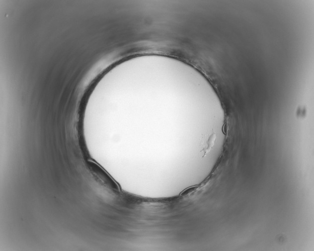 X0000090410150200708101927