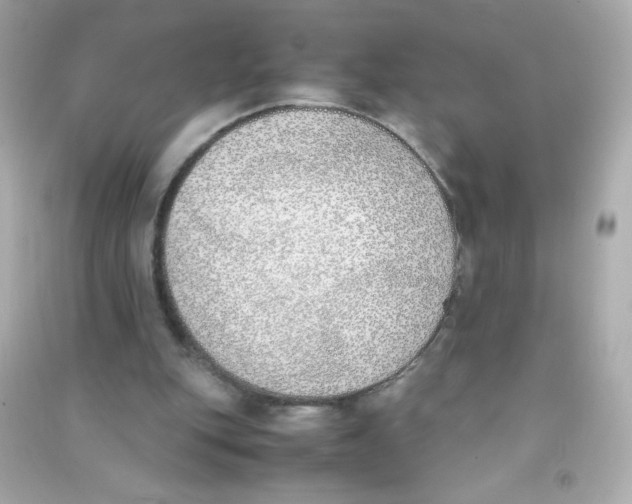 X0000090410151200708101927