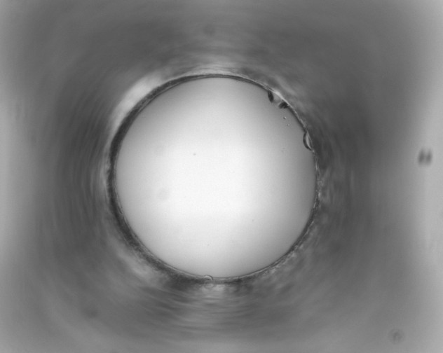 X0000090410152200708101927