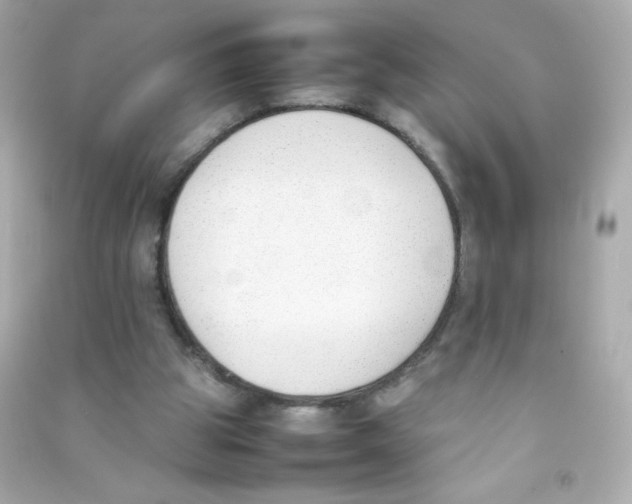 X0000090410153200708101927