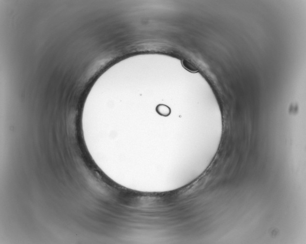 X0000090410154200708101927