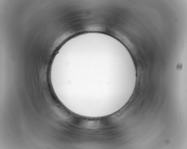 X0000090410155200708101927