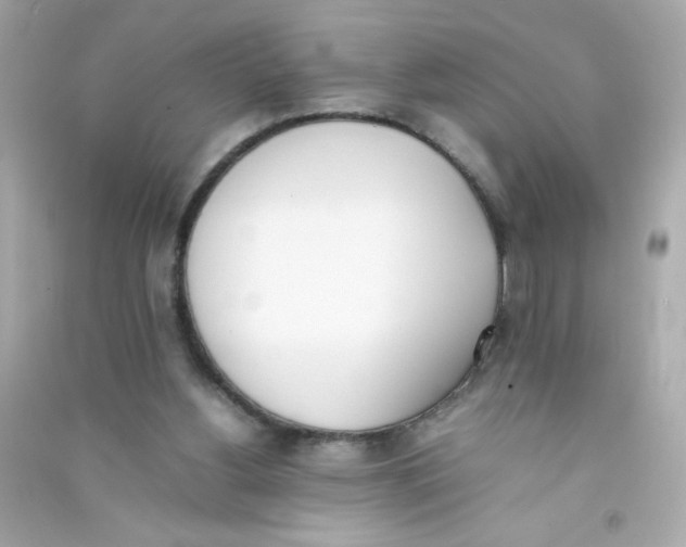 X0000090410156200708101927