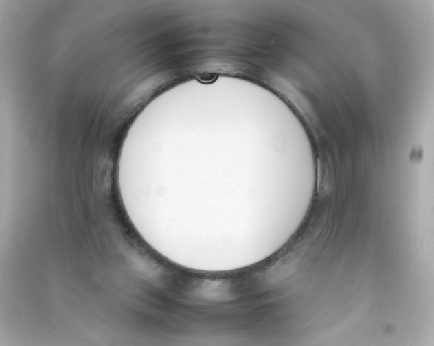 X0000090410157200708101927