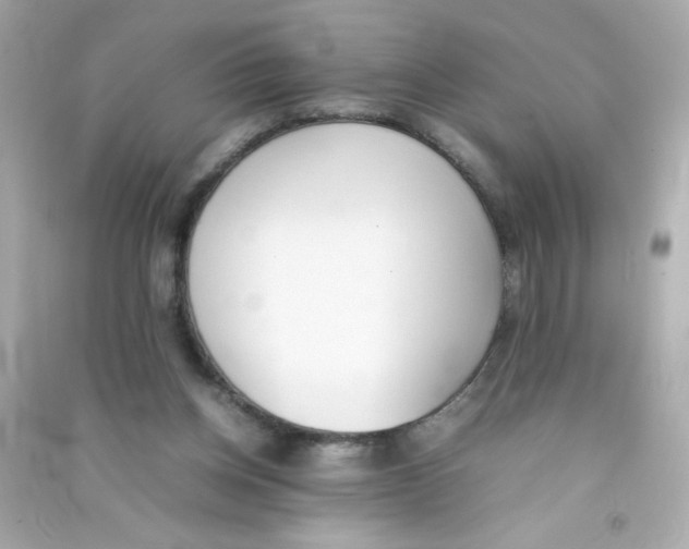 X0000090410158200708101927