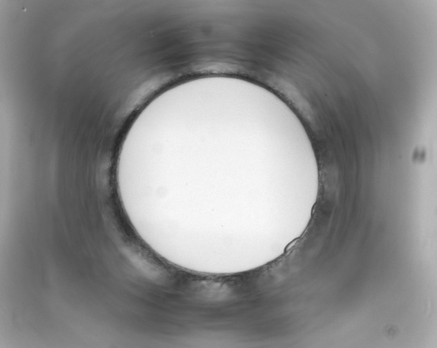 X0000090410159200708101927