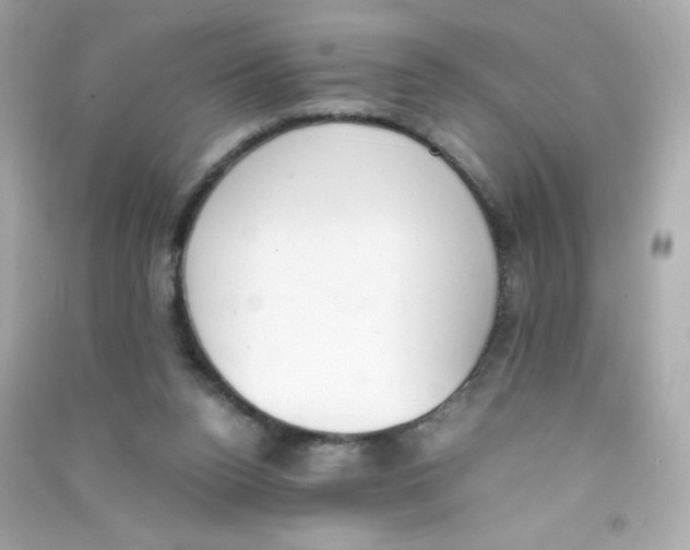 X0000090410160200708101927