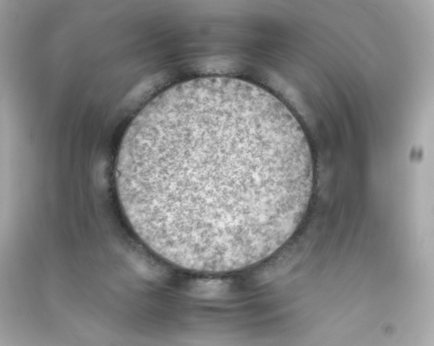 X0000090410161200708101927