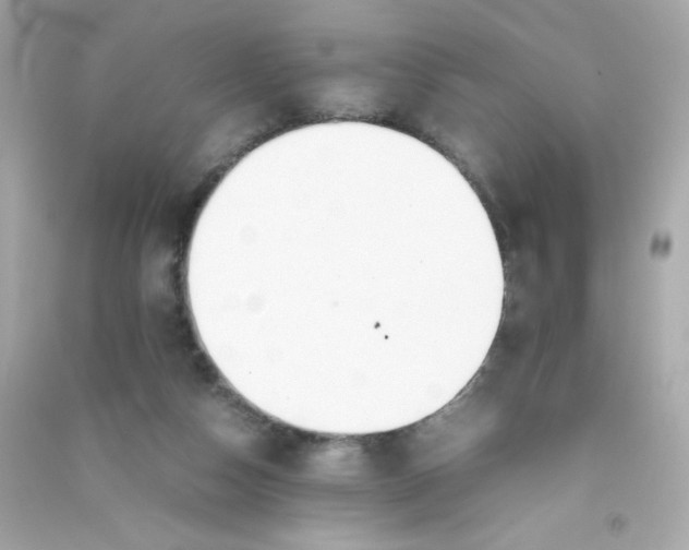 X0000090410162200708101927