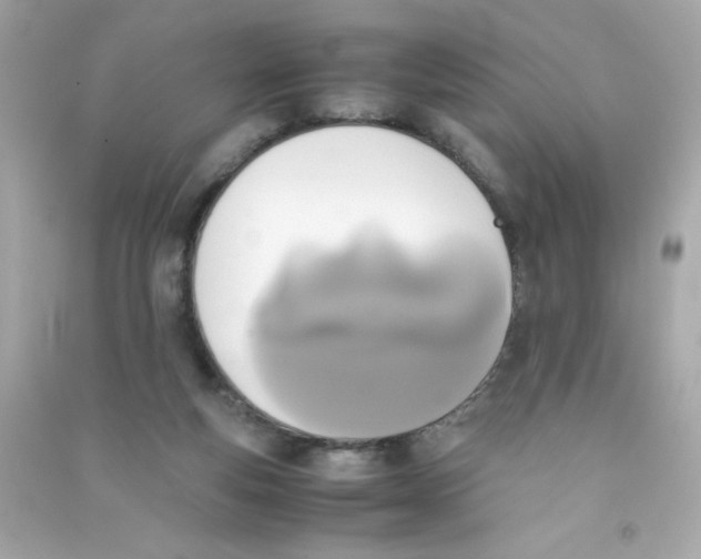 X0000090410163200708101927