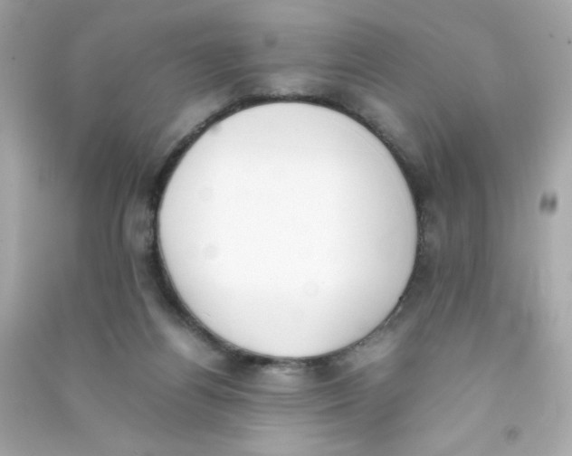 X0000090410164200708101927