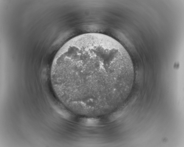 X0000090410165200708101927