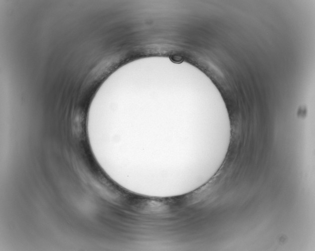 X0000090410166200708101927