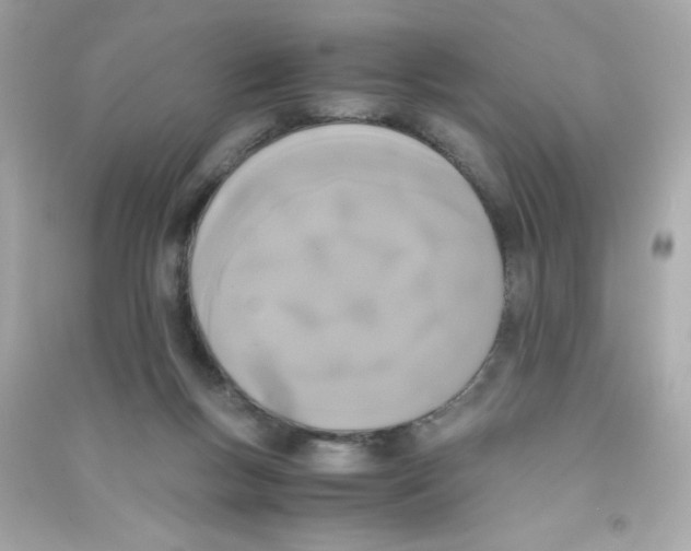 X0000090410167200708101927