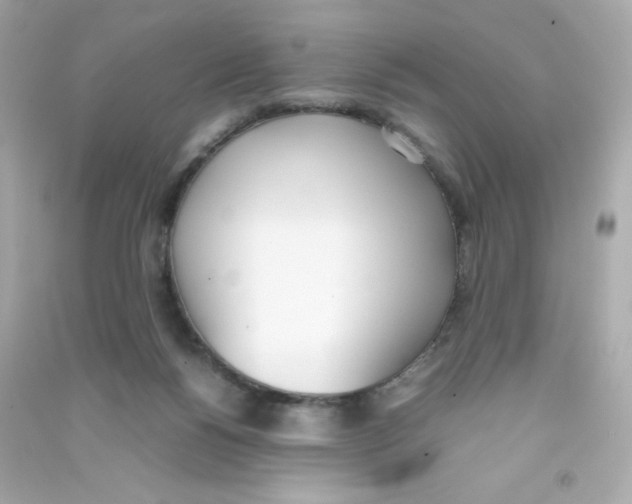 X0000090410168200708101928