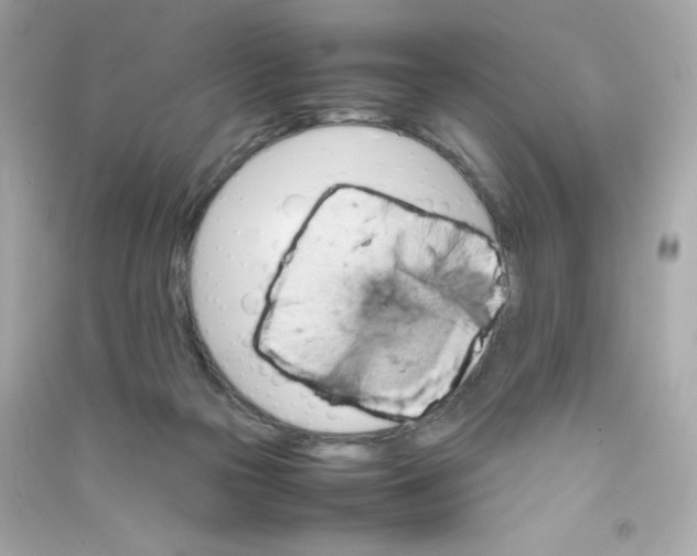 X0000090410169200708101928