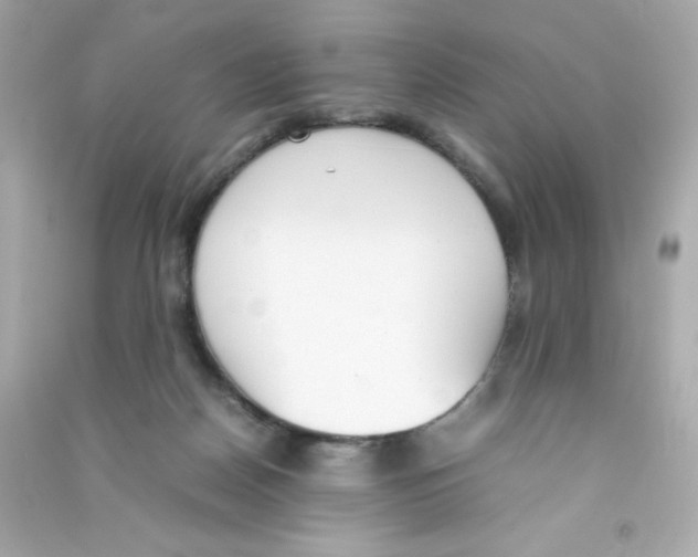 X0000090410170200708101928