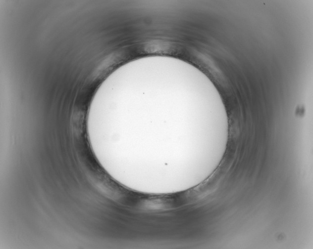 X0000090410171200708101928