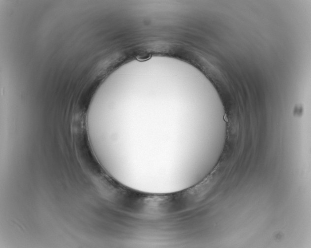 X0000090410172200708101928