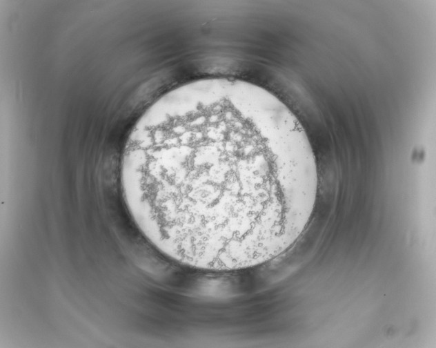 X0000090410175200708101928