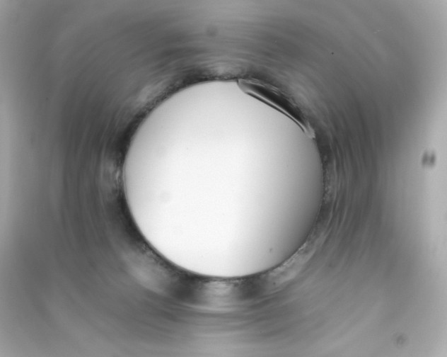 X0000090410176200708101928