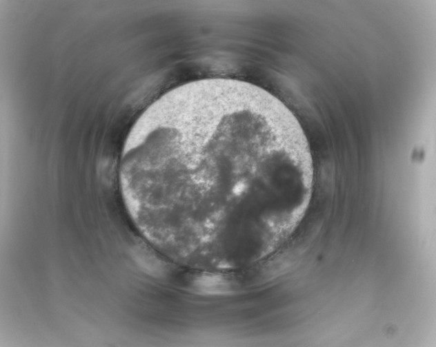 X0000090410177200708101928