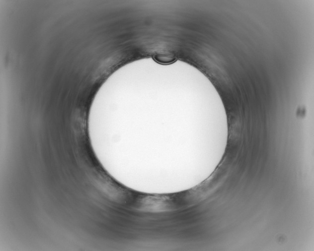 X0000090410179200708101928