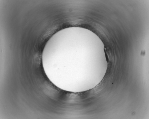 X0000090410180200708101928