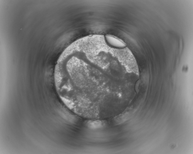 X0000090410181200708101928