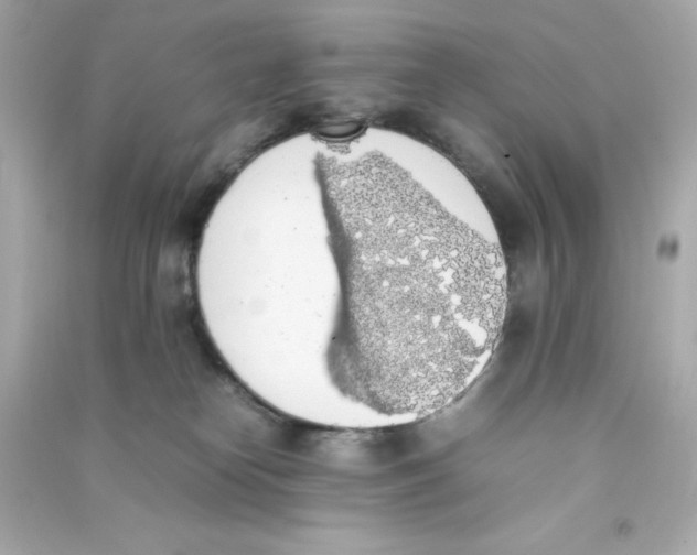 X0000090410182200708101928