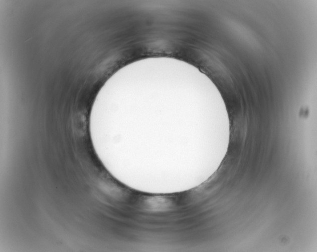 X0000090410183200708101928