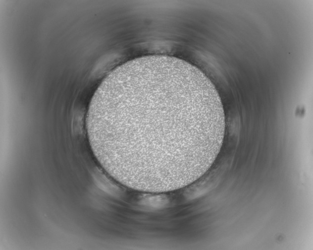 X0000090410185200708101928