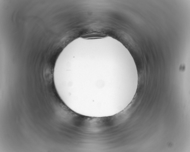 X0000090410186200708101928