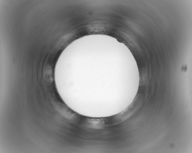 X0000090410187200708101928