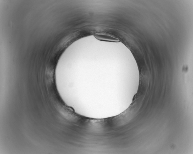 X0000090410188200708101928