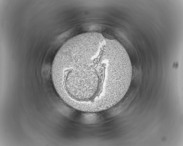 X0000090410189200708101928