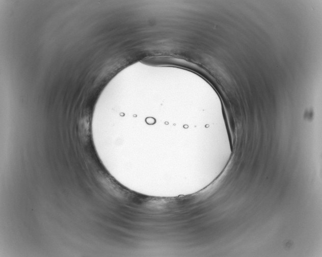 X0000090410190200708101928