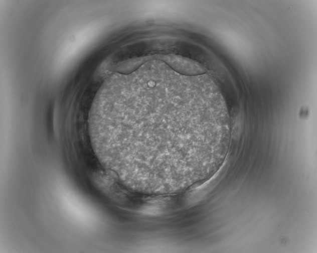 X0000090410191200708101928