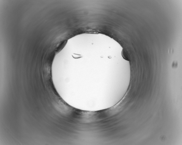 X0000090410192200708101928