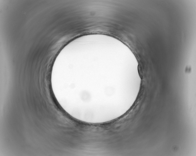 X0000090410193200708101927