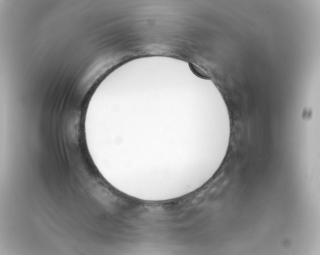 X0000090410194200708101927