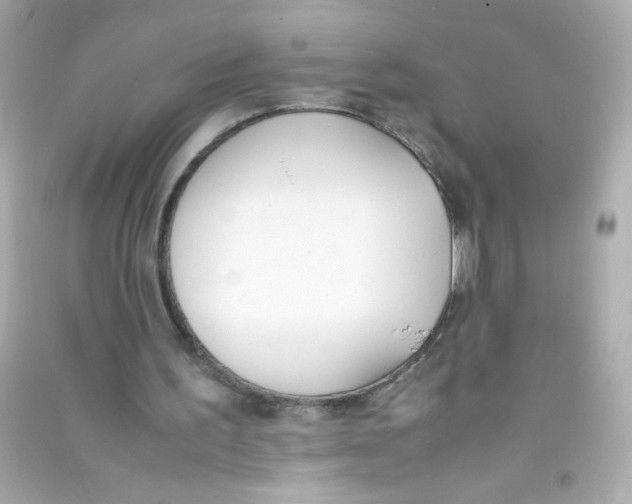 X0000090410195200708101927