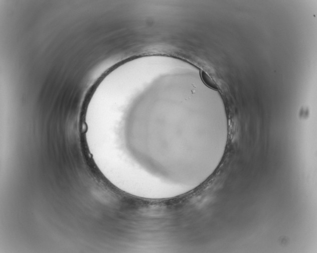 X0000090410196200708101927